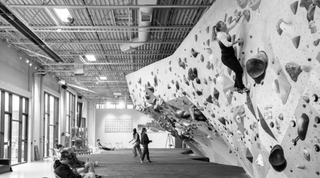 Discover Pinecrest’s Premier Rock Climbing Gym: Climb, Train & Restore in Miami’s Newest Wellness Hub